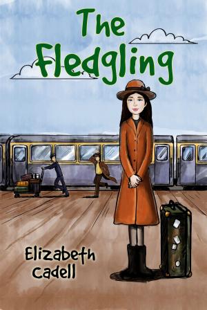 Book cover of The Fledgling