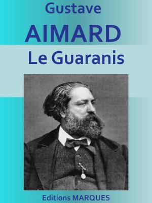 Book cover of Le Guaranis