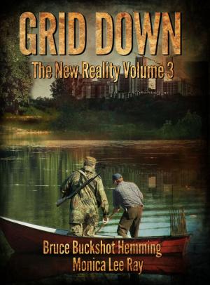 Cover of the book Grid Down by C.D. Breadner