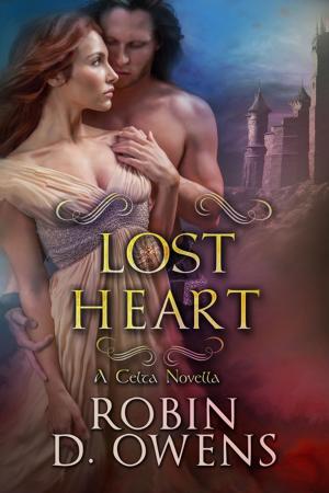 Cover of the book Lost Heart by Stephen B5 Jones