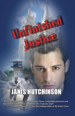Cover of the book Unfinished Justice by Ben DeWitt