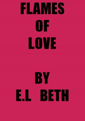 Cover of the book Flames of Love by E.L Beth