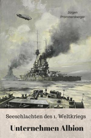 Cover of the book Seeschlachten des 1. Weltkriegs by W.H. DAVENPORT ADAMS