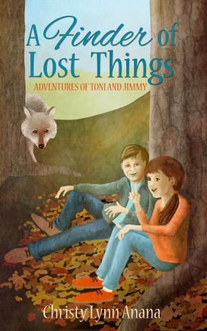 Cover of the book A Finder of Lost Things by Kari Fisher