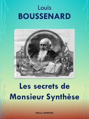 Cover of the book Les secrets de Monsieur Synthèse by Georges EEKHOUD