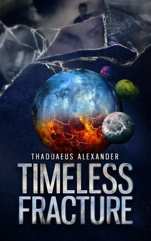 Cover of the book Timeless Fracture by C.M. Healy