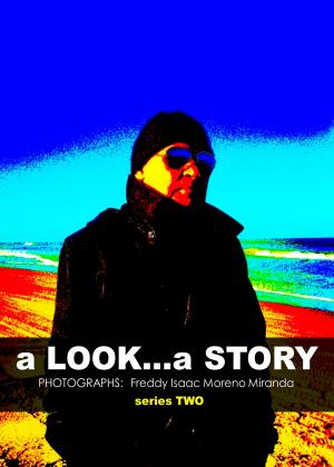 Cover of the book a Look... a Story by Bruno Manara