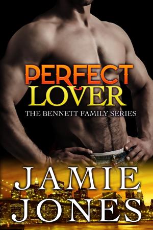 Cover of Perfect Lover
