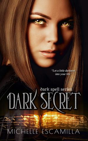 bigCover of the book Dark Secret by 