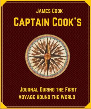 Cover of the book Captain Cook's Journal During the First Voyage Round the World by Simon Dubnow