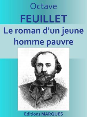 Cover of the book Le roman d'un jeune homme pauvre by Édouard Chavannes