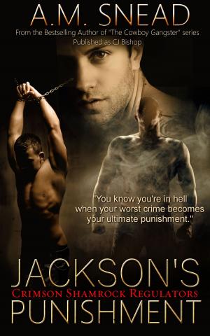 Cover of the book Jackson's Punishment by Steph Bennion