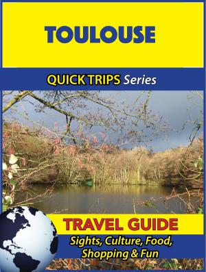 Book cover of Toulouse Travel Guide (Quick Trips Series)