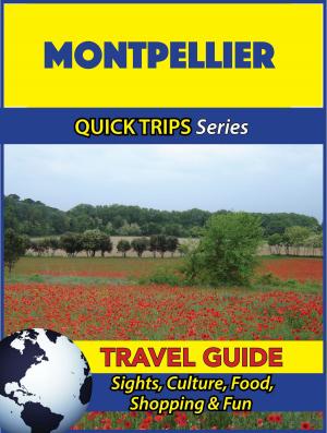 Cover of the book Montpellier Travel Guide (Quick Trips Series) by Nicole Wright