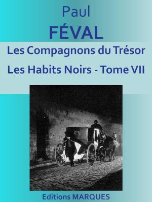 Cover of the book Les Compagnons du Trésor by Anatole LE BRAZ