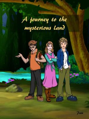 Cover of the book A journey to the mysterious land by Paolo Parente