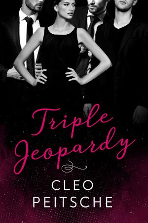 Cover of the book Triple Jeopardy by Benjamín Griss