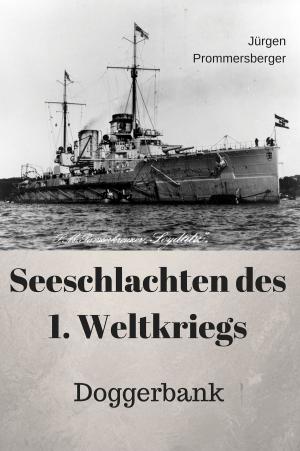 Cover of the book Seeschlachten des 1. Weltkriegs by Rudolf Stark, Claud Sykes
