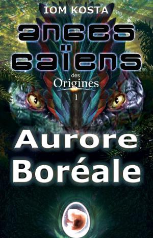Cover of Anges Gaiens des Origines T1 : Aurore Boreale
