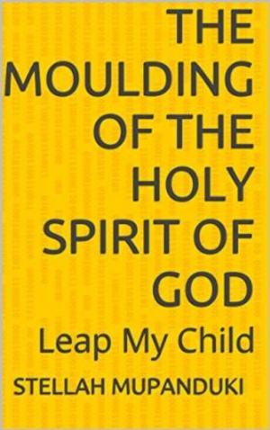 Cover of The Moulding Of The Holy Spirit of God