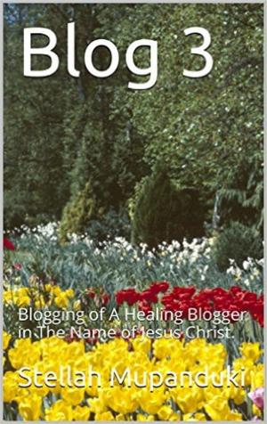 Book cover of Blog 3
