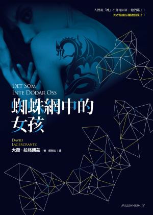 Book cover of 蜘蛛網中的女孩