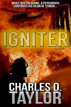 bigCover of the book Igniter by 