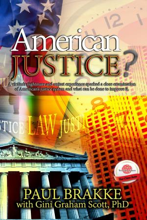 Cover of the book American Justice by S.K. Derban