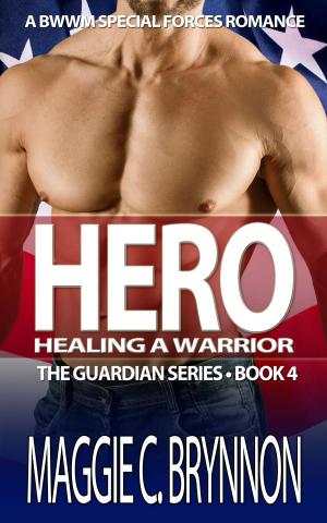 Cover of the book Hero: Healing a Warrior, Book 4 by Violet Blake
