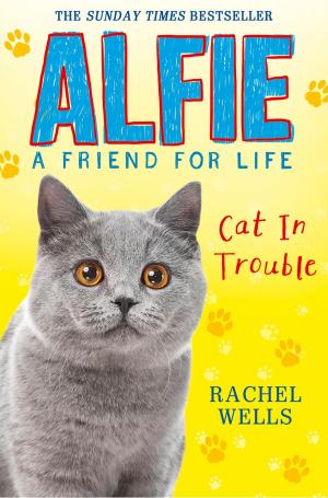 Cover of the book Alfie Cat In Trouble by Angie Bates