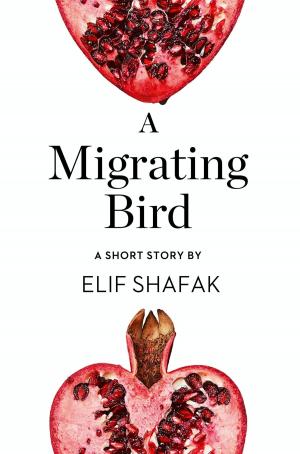 Cover of the book A Migrating Bird: A Short Story from the collection, Reader, I Married Him by Lynne Wilding