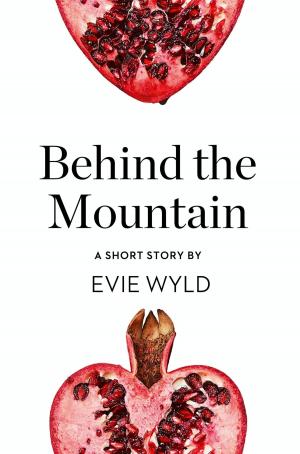 Cover of the book Behind the Mountain: A Short Story from the collection, Reader, I Married Him by Erin Lawless