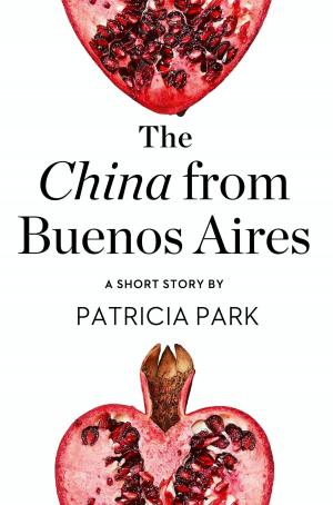 Cover of the book The China from Buenos Aires: A Short Story from the collection, Reader, I Married Him by Luke Delaney