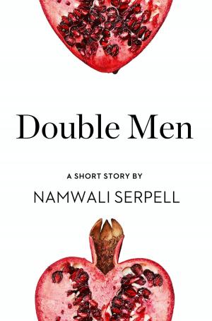 Cover of the book Double Men: A Short Story from the collection, Reader, I Married Him by Zara Stoneley