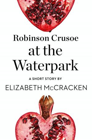 Cover of the book Robinson Crusoe at the Waterpark: A Short Story from the collection, Reader, I Married Him by Emelie Schepp