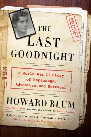 Book cover of The Last Goodnight