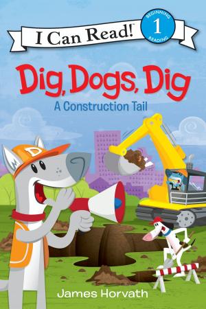 Cover of the book Dig, Dogs, Dig by Janet McLaughlin