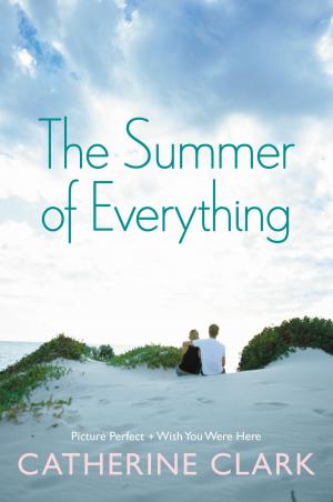 Cover of the book The Summer of Everything by Hailey Abbott