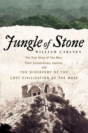 Book cover of Jungle of Stone