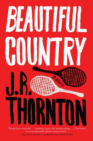 Cover of the book Beautiful Country by JT LeRoy