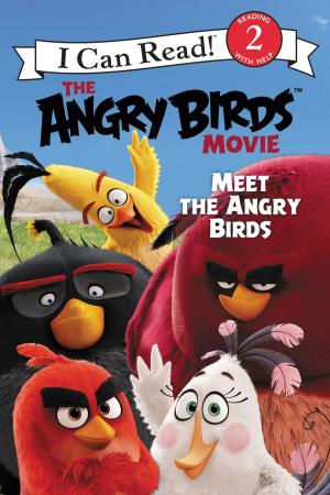 Cover of the book The Angry Birds Movie: Meet the Angry Birds by Melissa Marr, Kelley Armstrong, Rachel Caine, Claudia Gray, Carrie Ryan, Kami Garcia, Margaret Stohl, Jennifer Lynn Barnes, Sarah Rees Brennan
