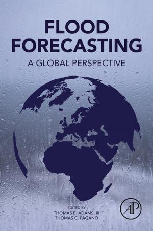 Cover of the book Flood Forecasting by J. Andrew Royle, Robert M. Dorazio