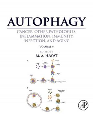 Cover of the book Autophagy: Cancer, Other Pathologies, Inflammation, Immunity, Infection, and Aging by Lorraine F. Francis, Ph.D