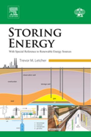 Cover of the book Storing Energy by Melissa Bopp, Dangaia Sims, Daniel Piatkowski