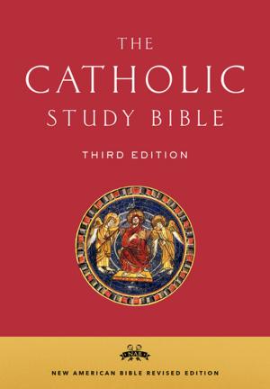 Cover of the book The Catholic Study Bible by Domingo Morel