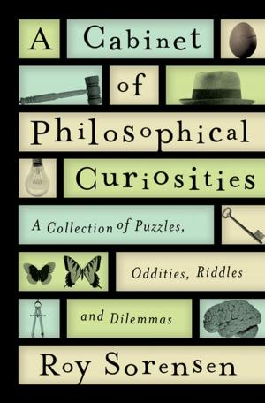 Cover of the book A Cabinet of Philosophical Curiosities by Jaap Goudsmit, M.D.