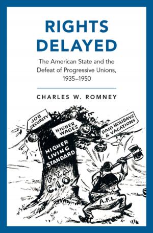 Cover of the book Rights Delayed by Micheal Houlahan, Philip Tacka