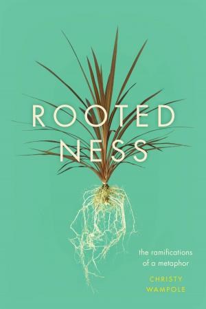 Cover of the book Rootedness by Richard Stark
