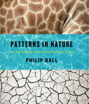 Book cover of Patterns in Nature