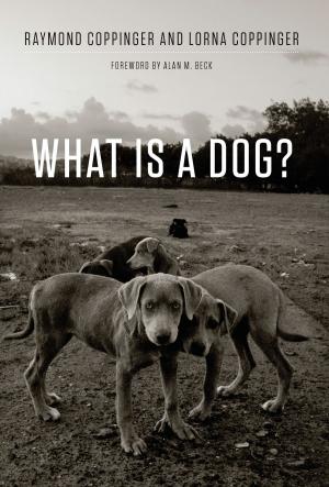 Book cover of What Is a Dog?